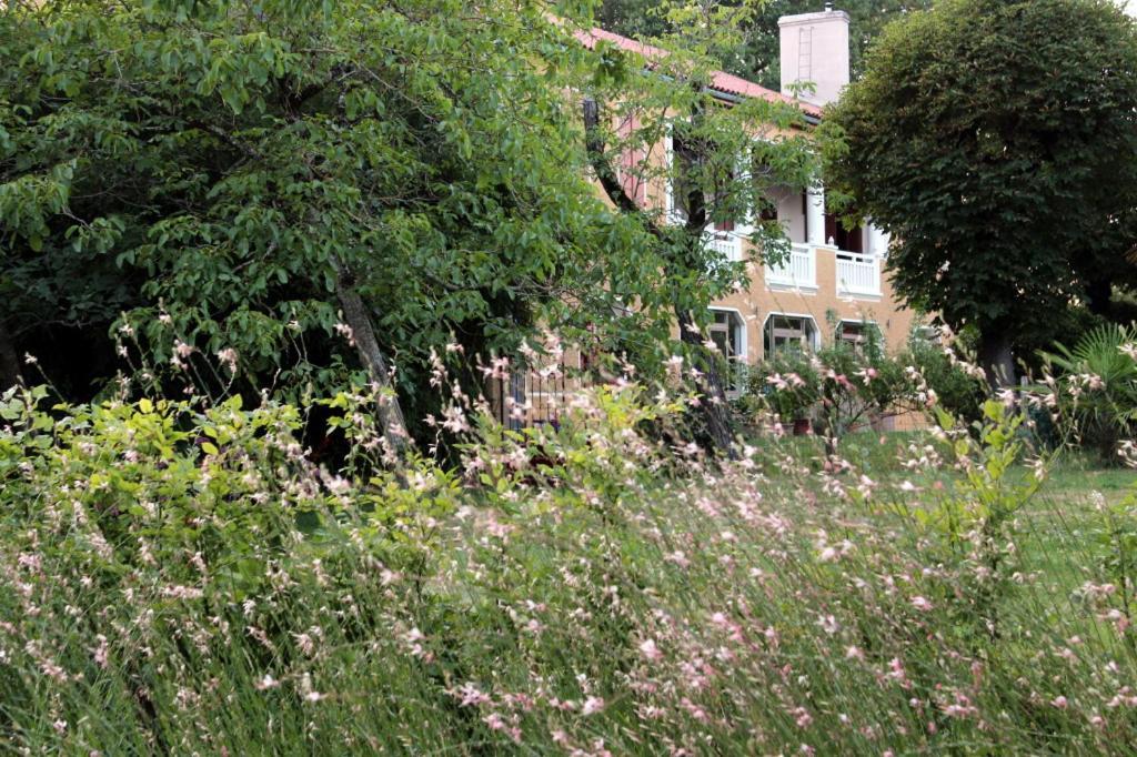 Maison Poche Caupenne-d'Armagnac ภายนอก รูปภาพ